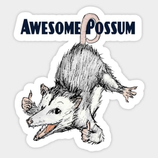 Awesome Possum Sticker